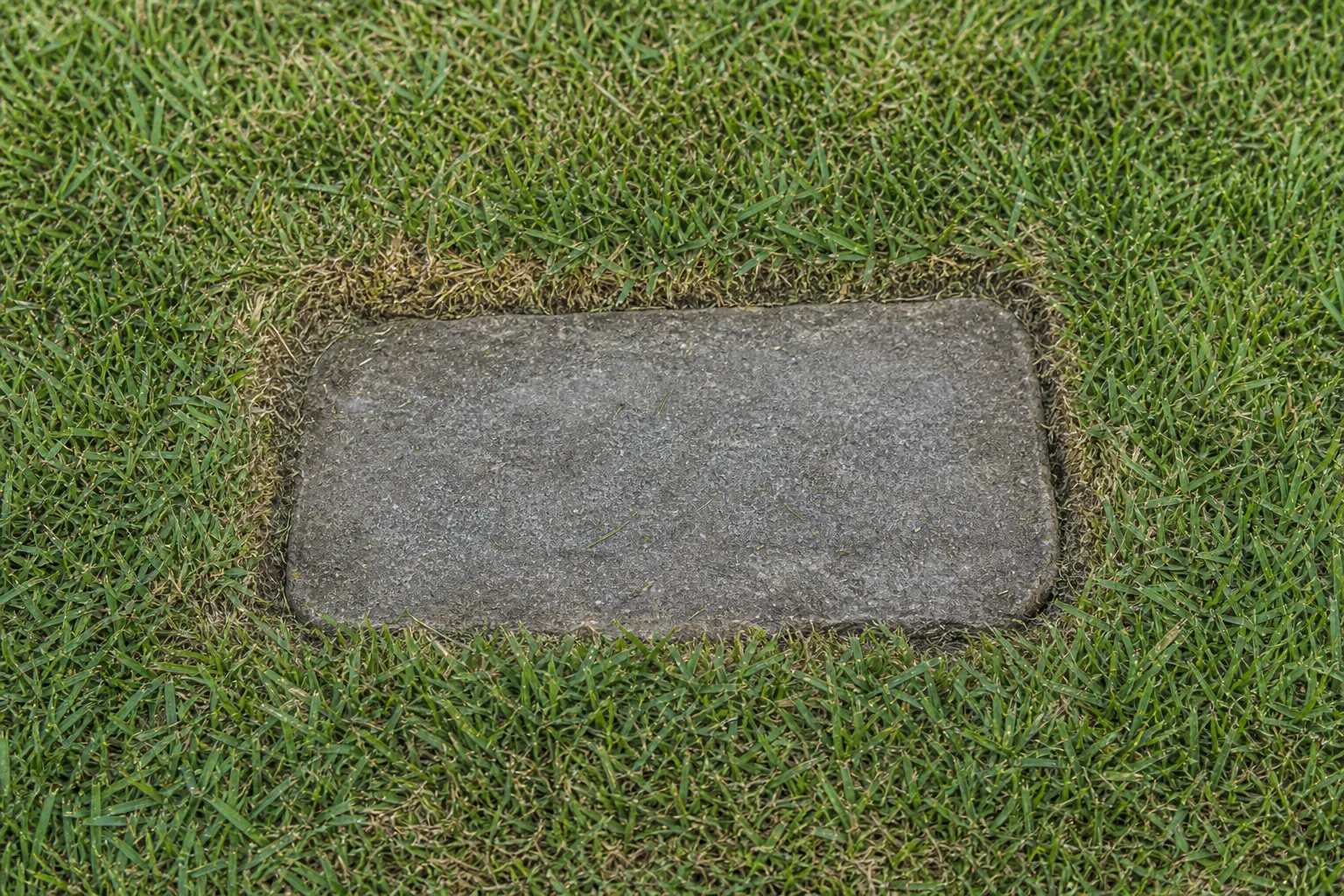 Before You Shop a Design, Ask the Cemetery What Your Section Allows